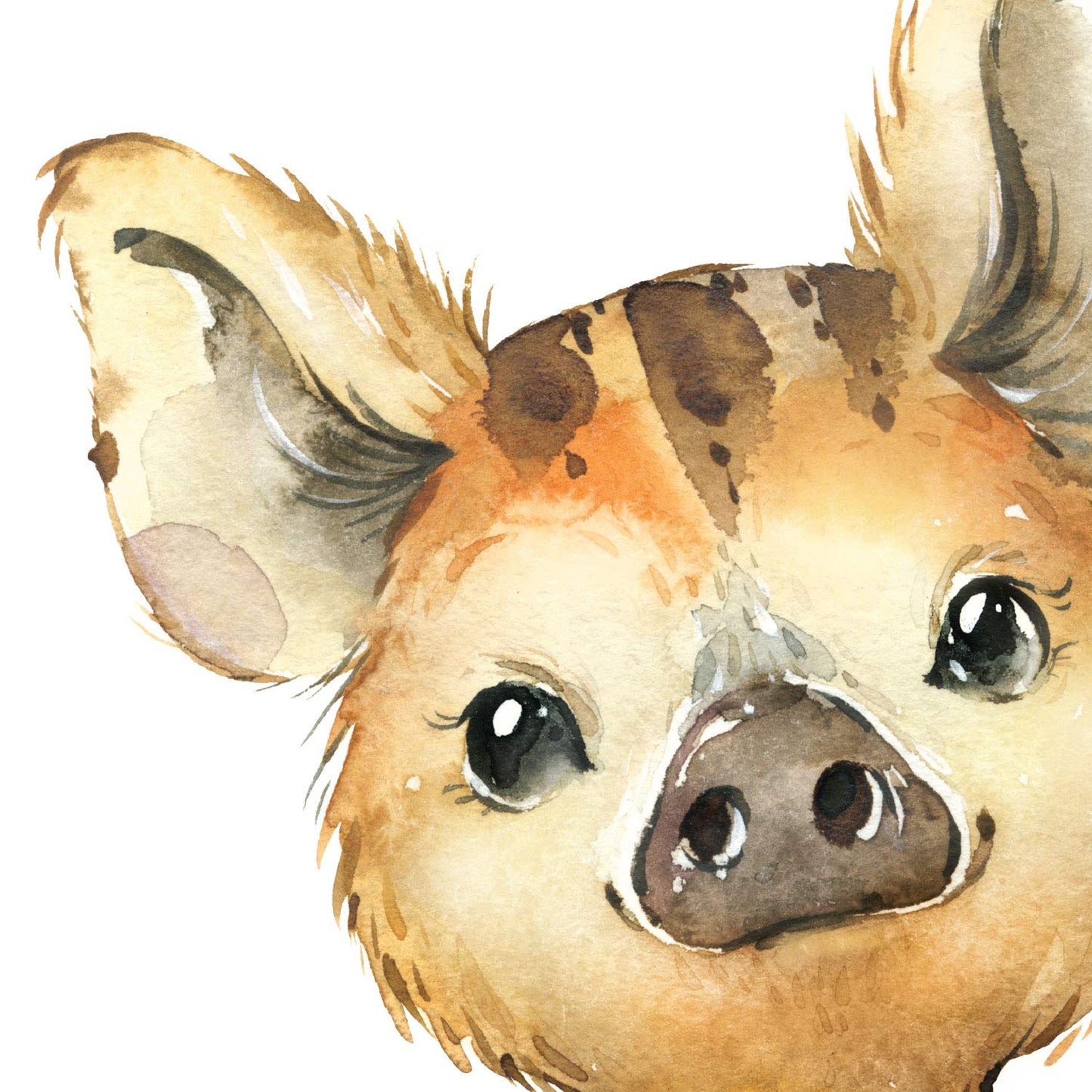 Pack de cuatro láminas con ilustraciones de animales. Hiena ciervo buho y mofeta.-Artwork-Nacnic-Nacnic Estudio SL