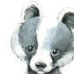 Pack de cuatro láminas con ilustraciones de animales. mapache cebra caballo y ciervo.-Artwork-Nacnic-Nacnic Estudio SL