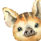 Pack de cuatro láminas con ilustraciones de animales. Tigre mofeta hiena mapache.-Artwork-Nacnic-Nacnic Estudio SL