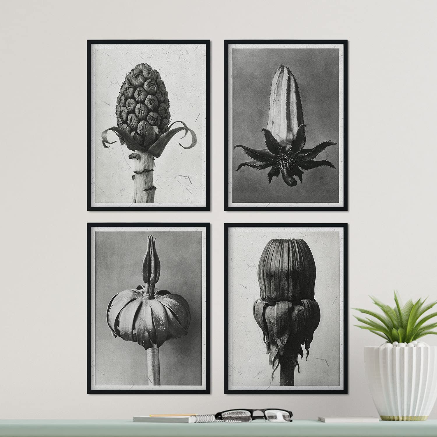 Pack de láminas Brotes. Pósters con ilustraciones de flores y plantas en tonos grises.-Artwork-Nacnic-Nacnic Estudio SL