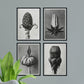 Pack de láminas Brotes. Pósters con ilustraciones de flores y plantas en tonos grises.-Artwork-Nacnic-Nacnic Estudio SL