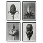 Pack de láminas Brotes. Pósters con ilustraciones de flores y plantas en tonos grises.-Artwork-Nacnic-Nacnic Estudio SL