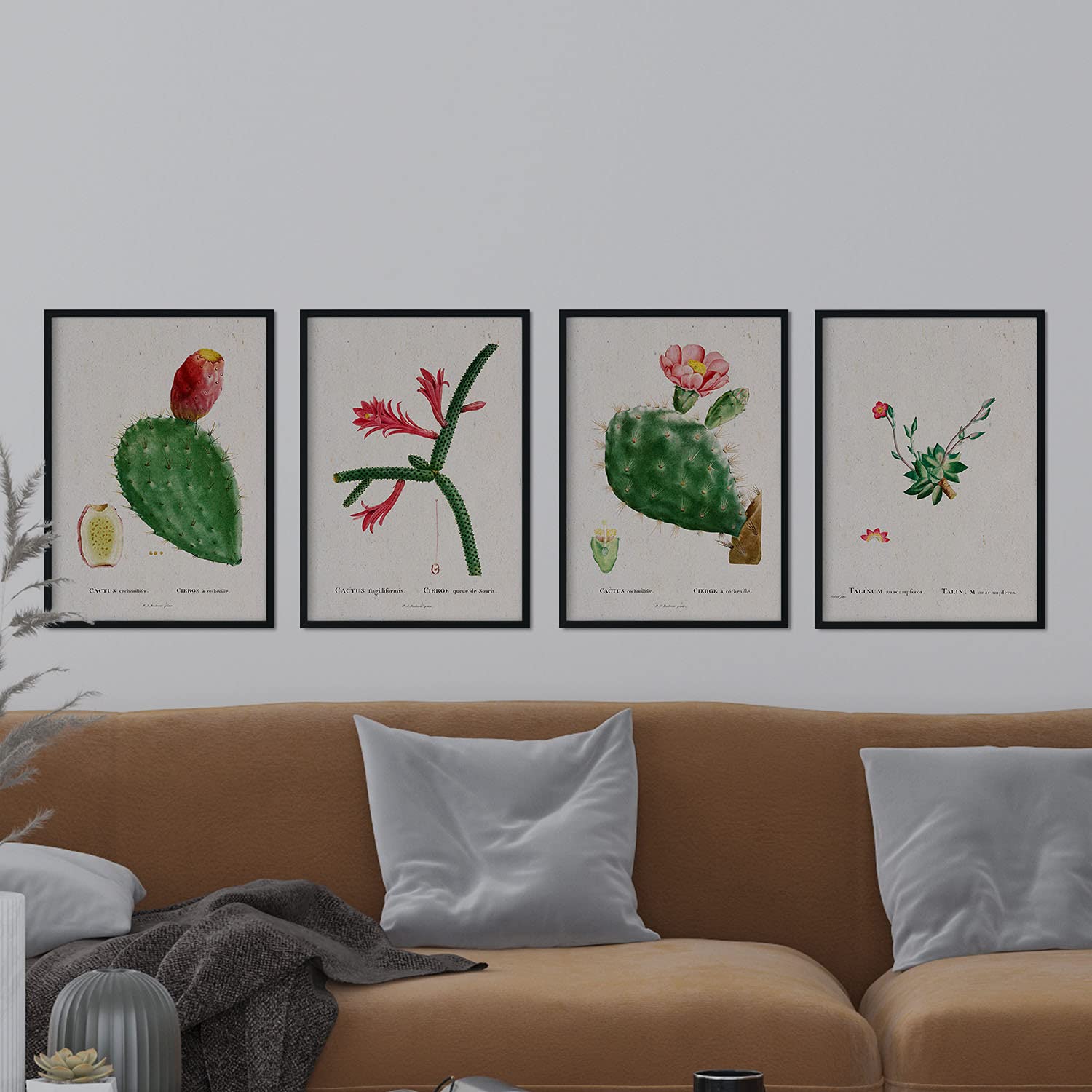 Pack de láminas Cactus rojos. Pósters con ilustraciones en acuarela de Pierre-Joseph Redouté.-Artwork-Nacnic-Nacnic Estudio SL