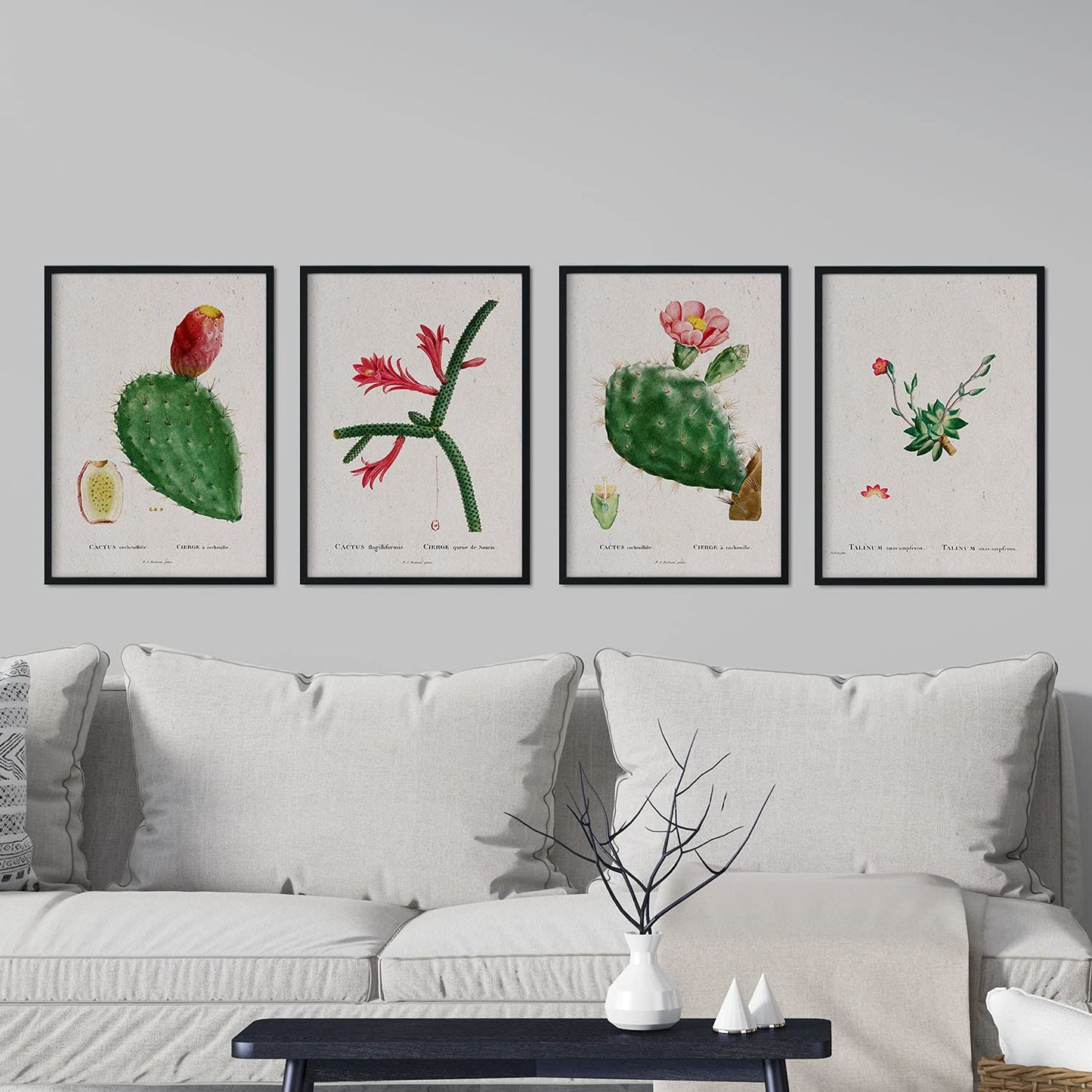 Pack de láminas Cactus rojos. Pósters con ilustraciones en acuarela de Pierre-Joseph Redouté.-Artwork-Nacnic-Nacnic Estudio SL