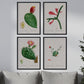 Pack de láminas Cactus rojos. Pósters con ilustraciones en acuarela de Pierre-Joseph Redouté.-Artwork-Nacnic-Nacnic Estudio SL