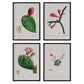 Pack de láminas Cactus rojos. Pósters con ilustraciones en acuarela de Pierre-Joseph Redouté.-Artwork-Nacnic-Nacnic Estudio SL