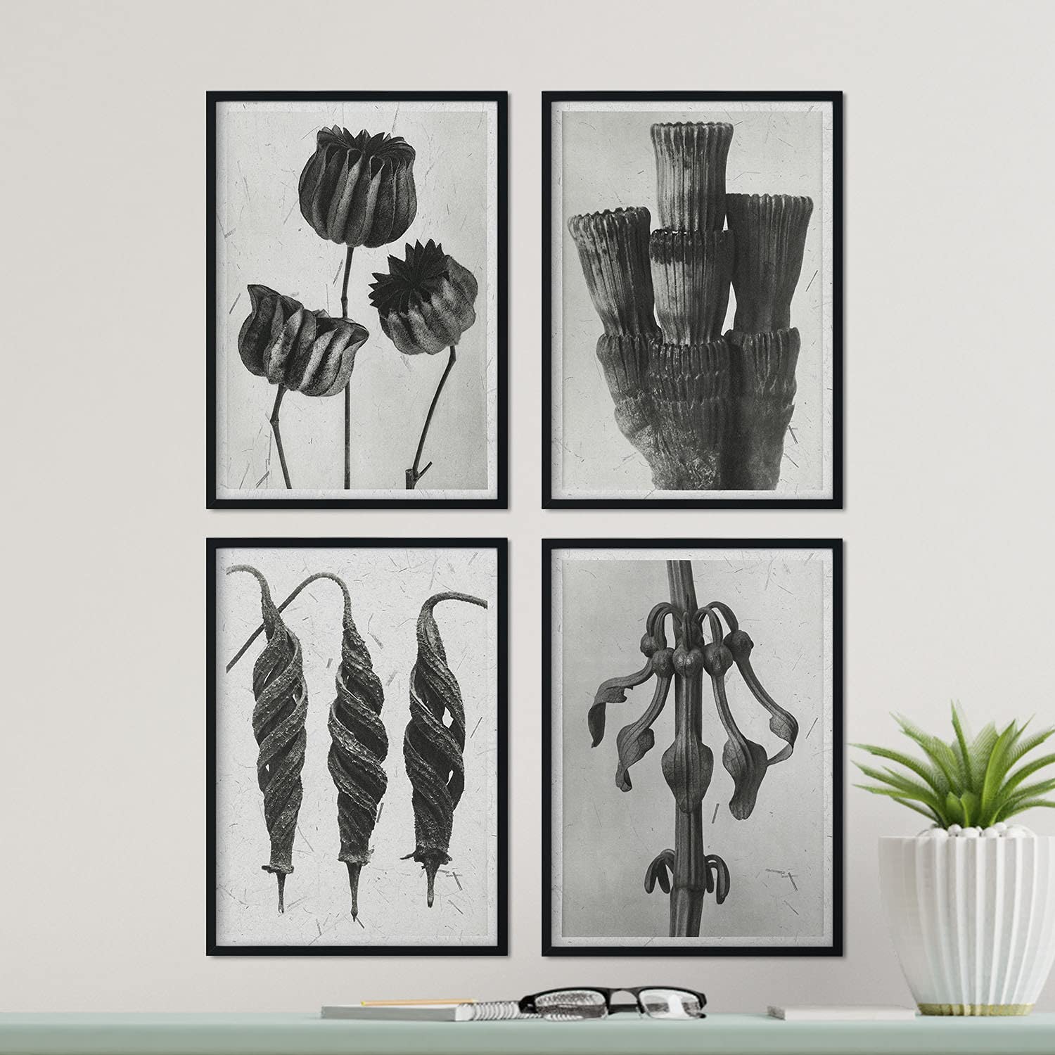Pack de láminas Exóticas. Pósters con ilustraciones de flores y plantas en tonos grises.-Artwork-Nacnic-Nacnic Estudio SL