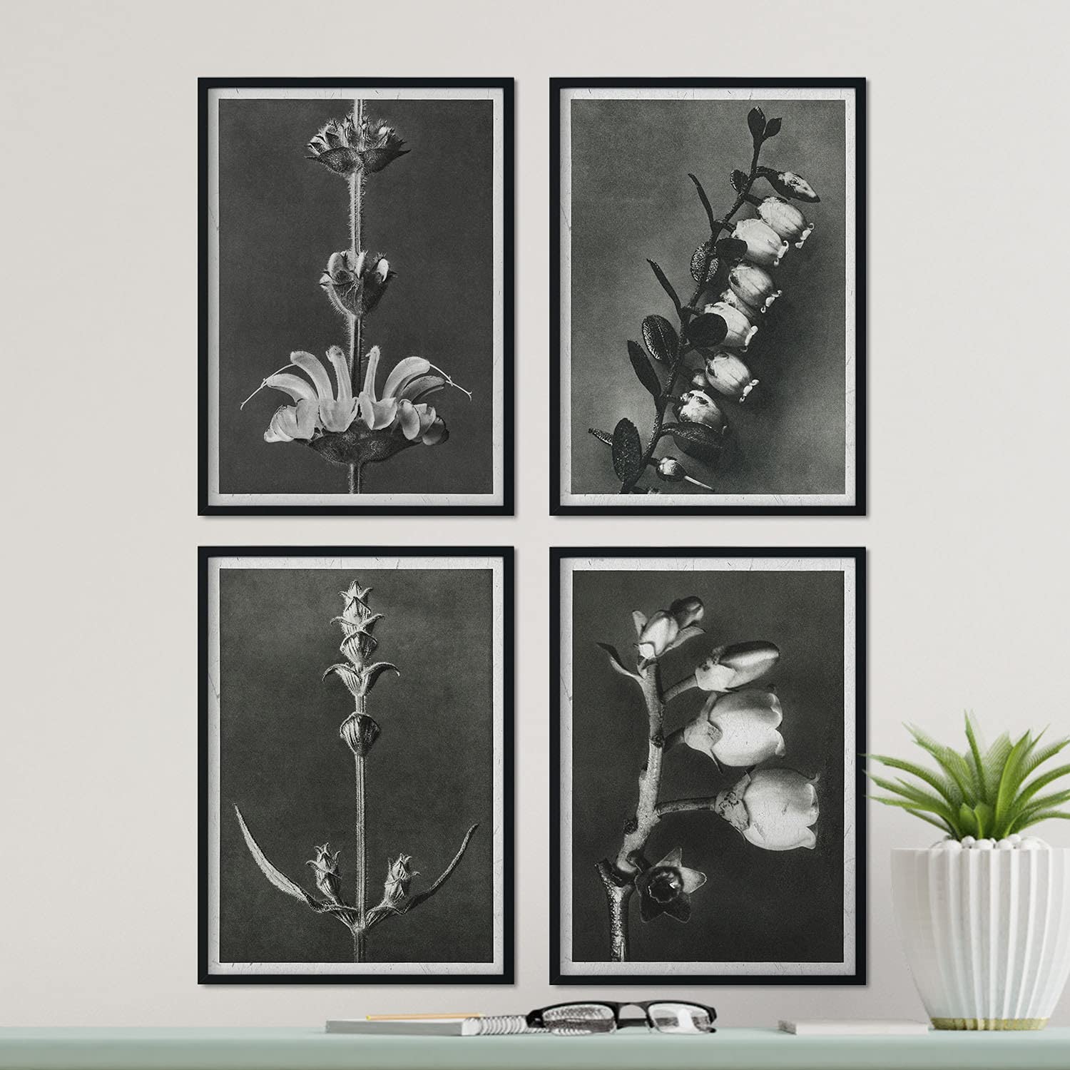 Pack de láminas Flores largas. Pósters con ilustraciones de flores y plantas en tonos grises.-Artwork-Nacnic-Nacnic Estudio SL