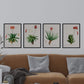 Pack de láminas Flores rojas. Pósters con ilustraciones en acuarela de Pierre-Joseph Redouté.-Artwork-Nacnic-Nacnic Estudio SL