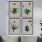 Pack de láminas Flores rojas. Pósters con ilustraciones en acuarela de Pierre-Joseph Redouté.-Artwork-Nacnic-Nacnic Estudio SL