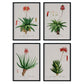 Pack de láminas Flores rojas. Pósters con ilustraciones en acuarela de Pierre-Joseph Redouté.-Artwork-Nacnic-Nacnic Estudio SL