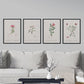 Pack de láminas Flores rosas. Pósters con ilustraciones en acuarela de Pierre-Joseph Redouté.-Artwork-Nacnic-Nacnic Estudio SL