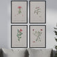 Pack de láminas Flores rosas. Pósters con ilustraciones en acuarela de Pierre-Joseph Redouté.-Artwork-Nacnic-Nacnic Estudio SL