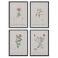 Pack de láminas Flores rosas. Pósters con ilustraciones en acuarela de Pierre-Joseph Redouté.-Artwork-Nacnic-Nacnic Estudio SL