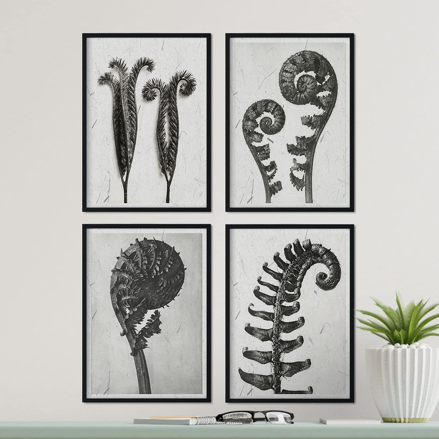 Pack de láminas Helechos. Pósters con ilustraciones de flores y plantas en tonos grises.-Artwork-Nacnic-Nacnic Estudio SL