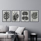 Pack de láminas Hojas. Pósters con ilustraciones de flores y plantas en tonos grises.-Artwork-Nacnic-Nacnic Estudio SL