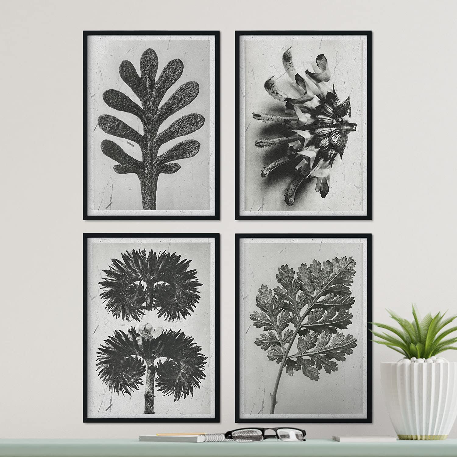 Pack de láminas Hojas. Pósters con ilustraciones de flores y plantas en tonos grises.-Artwork-Nacnic-Nacnic Estudio SL