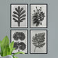 Pack de láminas Hojas. Pósters con ilustraciones de flores y plantas en tonos grises.-Artwork-Nacnic-Nacnic Estudio SL