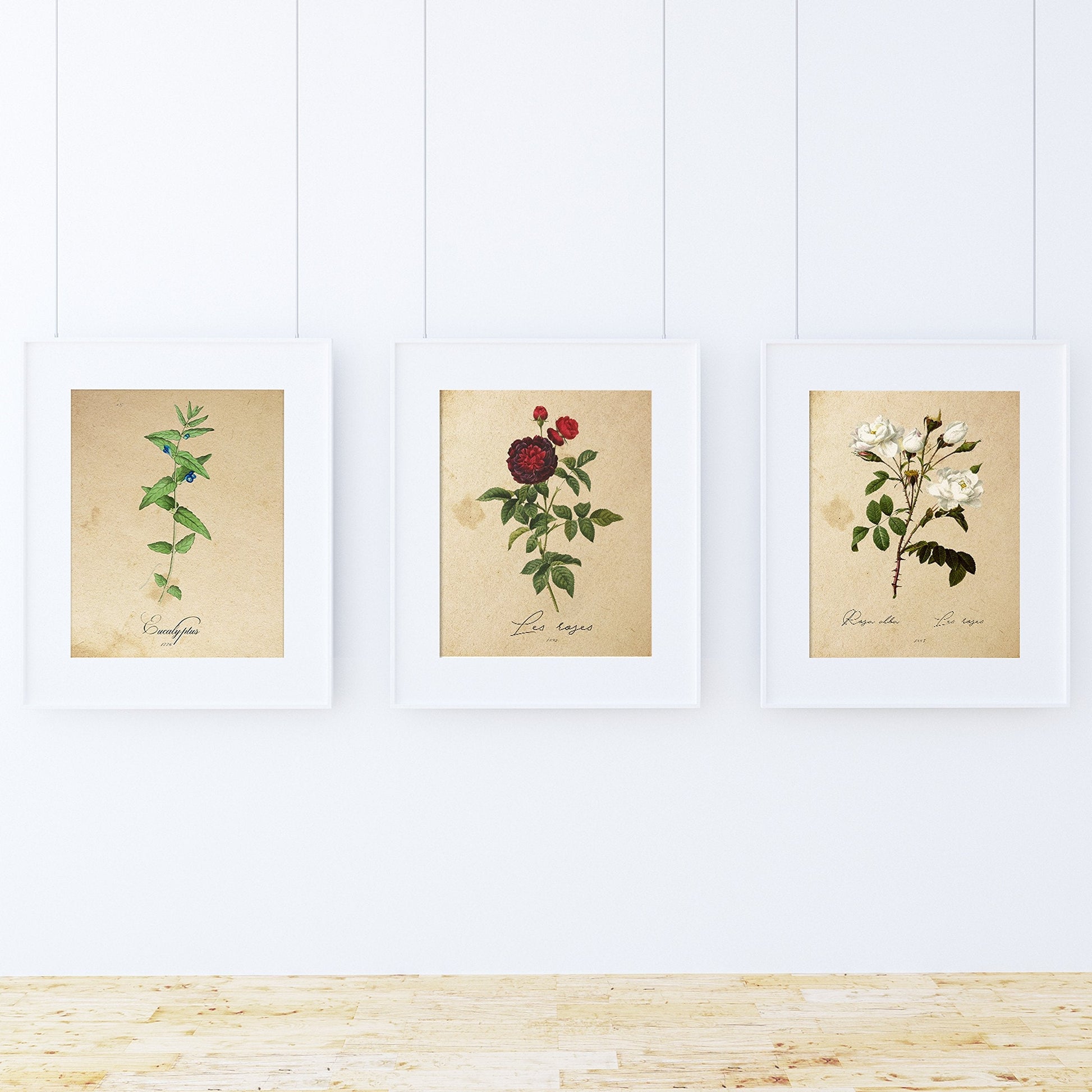 Pack de láminas MEDITERRANEO. Tres láminas . Posters con imágenes de botánica. alta calidad-Artwork-Nacnic-Nacnic Estudio SL
