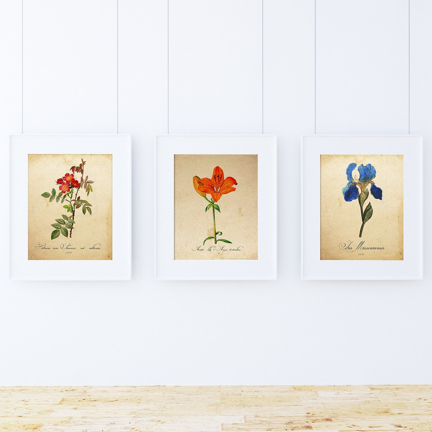 Pack de láminas MI JARDÍN AZUL. Tres láminas . Posters con imágenes de botánica. alta calidad-Artwork-Nacnic-Nacnic Estudio SL