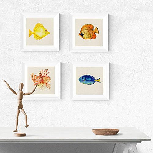PACK de láminas para enmarcar CUATRO PECES. Posters cuadrados con imágenes de peces. alta calidad-Artwork-Nacnic-Nacnic Estudio SL
