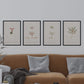 Pack de láminas Plantas pequeñas. Pósters con ilustraciones en acuarela de Pierre-Joseph Redouté.-Artwork-Nacnic-Nacnic Estudio SL