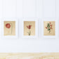 Pack de láminas RED ONE. Tres láminas . Posters con imágenes de botánica. alta calidad-Artwork-Nacnic-Nacnic Estudio SL