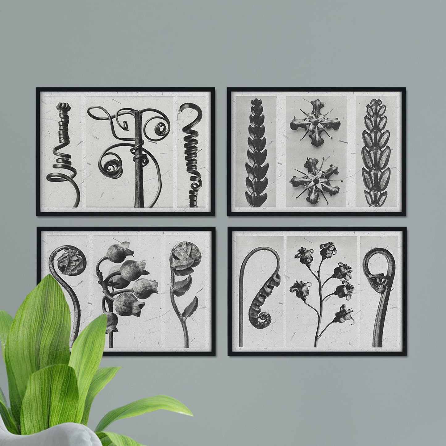 Pack de láminas Rizos. Pósters con ilustraciones de flores y plantas en tonos grises.-Artwork-Nacnic-Nacnic Estudio SL