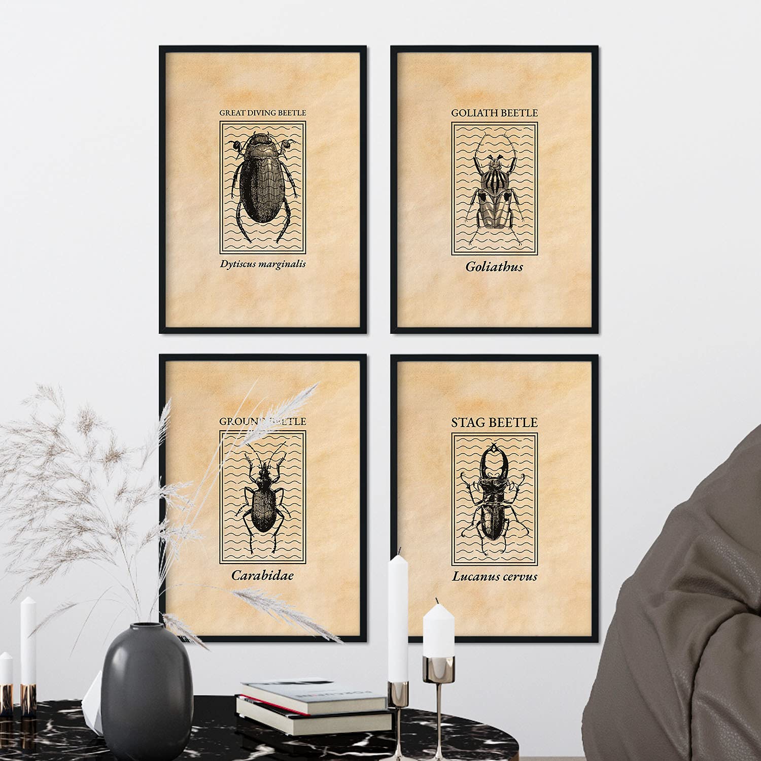 Pack de láminas Vintage Escarabajos. Pósters de insectos en estilo grabado y tonos sepia.-Artwork-Nacnic-Nacnic Estudio SL