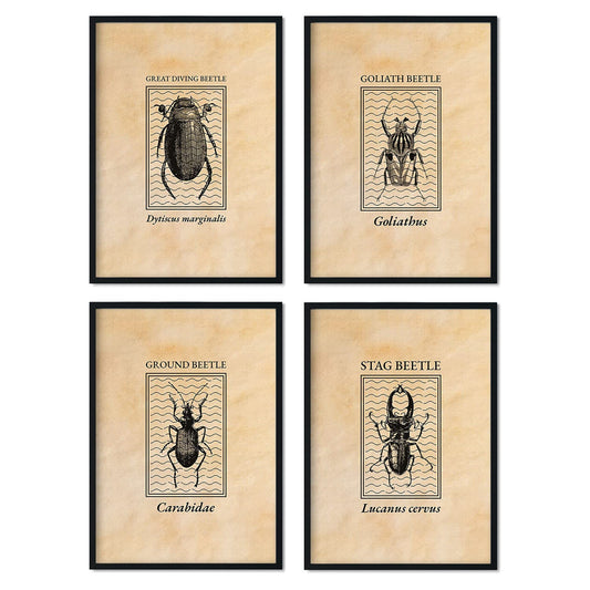 Pack de láminas Vintage Escarabajos. Pósters de insectos en estilo grabado y tonos sepia.-Artwork-Nacnic-Nacnic Estudio SL