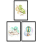 Pack de Tres láminas con Ilustraciones de Animales. Ciervo camaleon y Globo.-Artwork-Nacnic-Nacnic Estudio SL