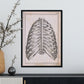 Paillou Back Ribs, sternum and thoracic vertebrae-Artwork-Nacnic-Nacnic Estudio SL