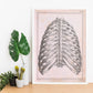 Paillou Back Ribs, sternum and thoracic vertebrae-Artwork-Nacnic-Nacnic Estudio SL