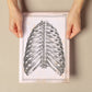 Paillou Back Ribs, sternum and thoracic vertebrae-Artwork-Nacnic-Nacnic Estudio SL
