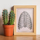 Paillou Back Ribs, sternum and thoracic vertebrae-Artwork-Nacnic-Nacnic Estudio SL