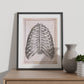 Paillou Back Ribs, sternum and thoracic vertebrae-Artwork-Nacnic-Nacnic Estudio SL