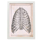 Paillou Back Ribs, sternum and thoracic vertebrae-Artwork-Nacnic-A3-Marco Blanco-Nacnic Estudio SL