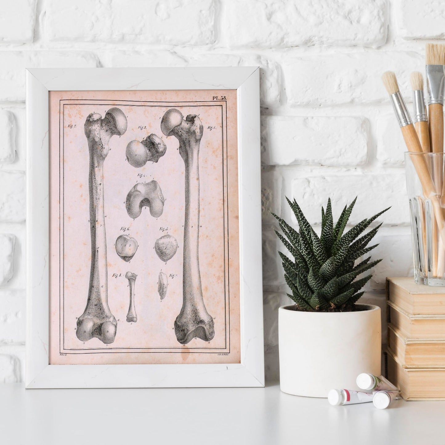 Paillou Femur of an adult and fetus-Artwork-Nacnic-Nacnic Estudio SL