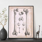 Paillou Femur of an adult and fetus-Artwork-Nacnic-Nacnic Estudio SL