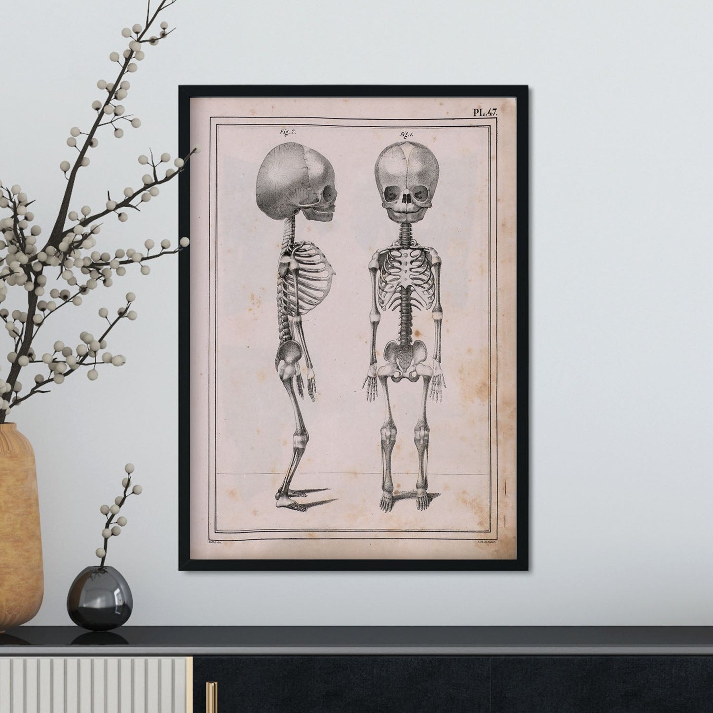 Paillou Fetal skeleton-Artwork-Nacnic-Nacnic Estudio SL
