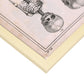 Paillou Fetal skeleton-Artwork-Nacnic-Nacnic Estudio SL
