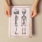 Paillou Fetal skeleton-Artwork-Nacnic-Nacnic Estudio SL