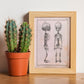 Paillou Fetal skeleton-Artwork-Nacnic-Nacnic Estudio SL