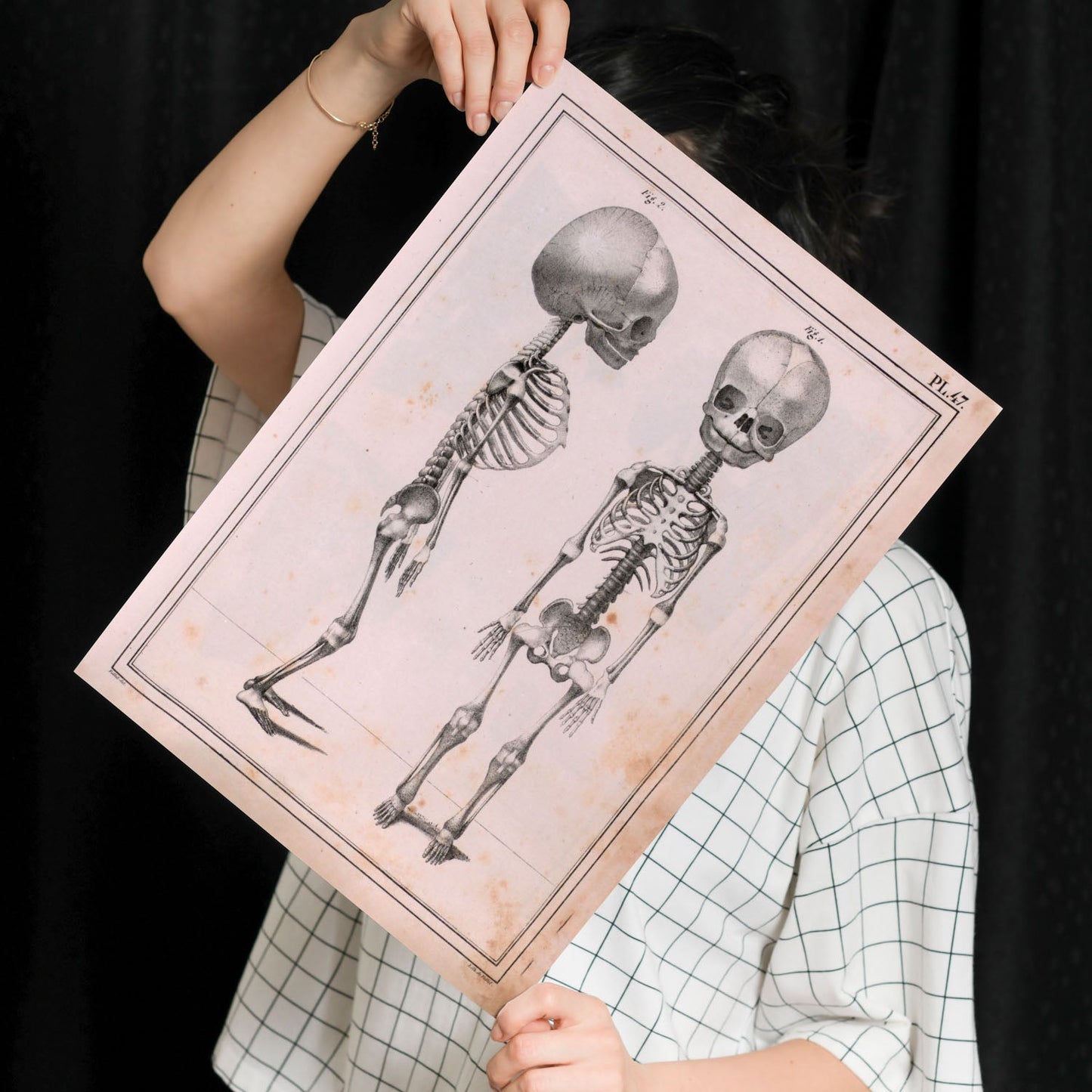 Paillou Fetal skeleton-Artwork-Nacnic-Nacnic Estudio SL