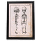 Paillou Fetal skeleton-Artwork-Nacnic-A3-Sin marco-Nacnic Estudio SL
