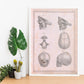 Paillou Fetal skull-Artwork-Nacnic-Nacnic Estudio SL