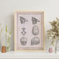 Paillou Fetal skull-Artwork-Nacnic-Nacnic Estudio SL