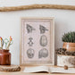Paillou Fetal skull-Artwork-Nacnic-Nacnic Estudio SL