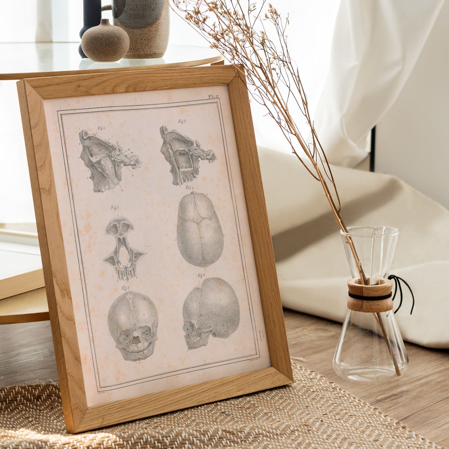 Paillou Fetal skull-Artwork-Nacnic-Nacnic Estudio SL
