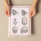 Paillou Fetal skull-Artwork-Nacnic-Nacnic Estudio SL